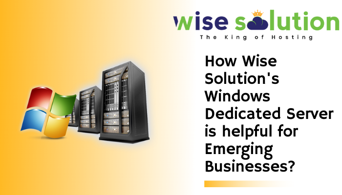 How Wise Solution's Windows Dedicated Server is helpful for Emerging Businesses