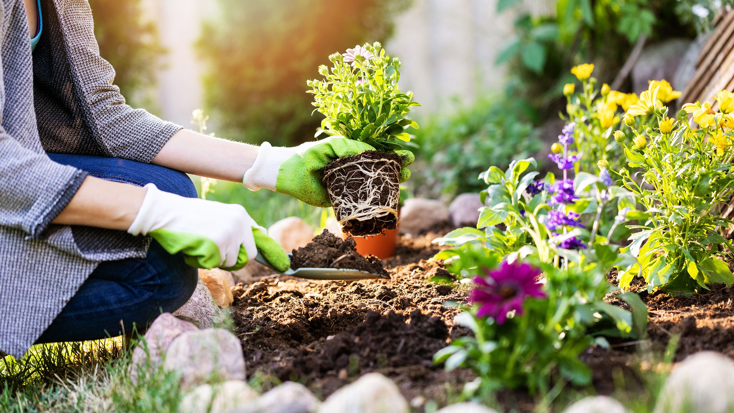 Smart Ways to Improve Your Garden
